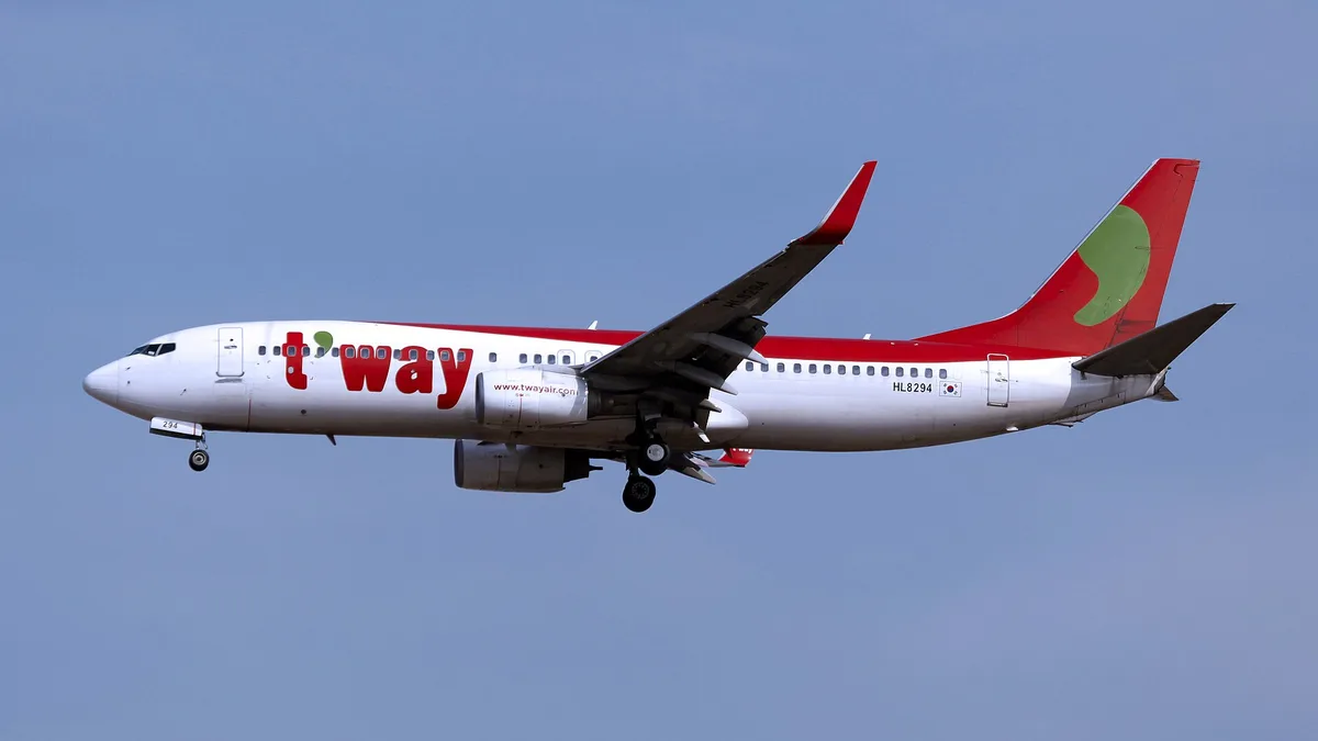 Low Cost Carrier Fee Structures